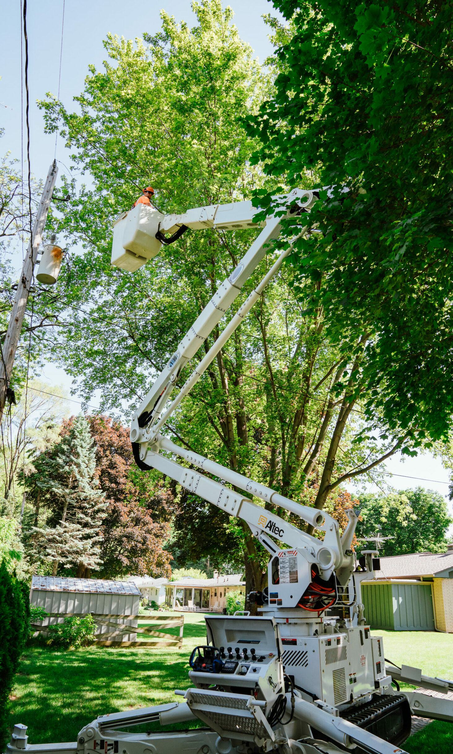 tree removal services, tree removal companies, tree clearing